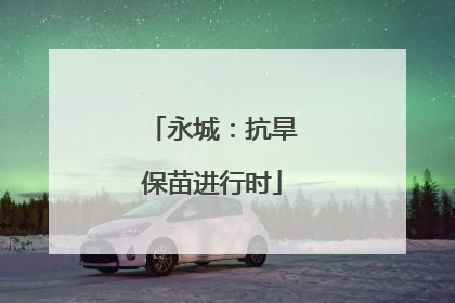 永城：抗旱保苗进行时
